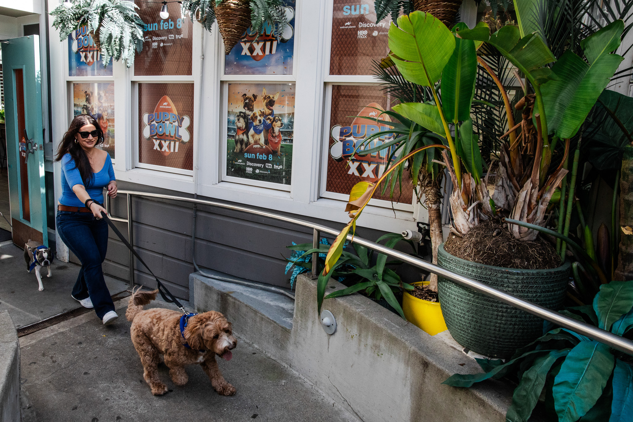 Puppybowlsf - 06