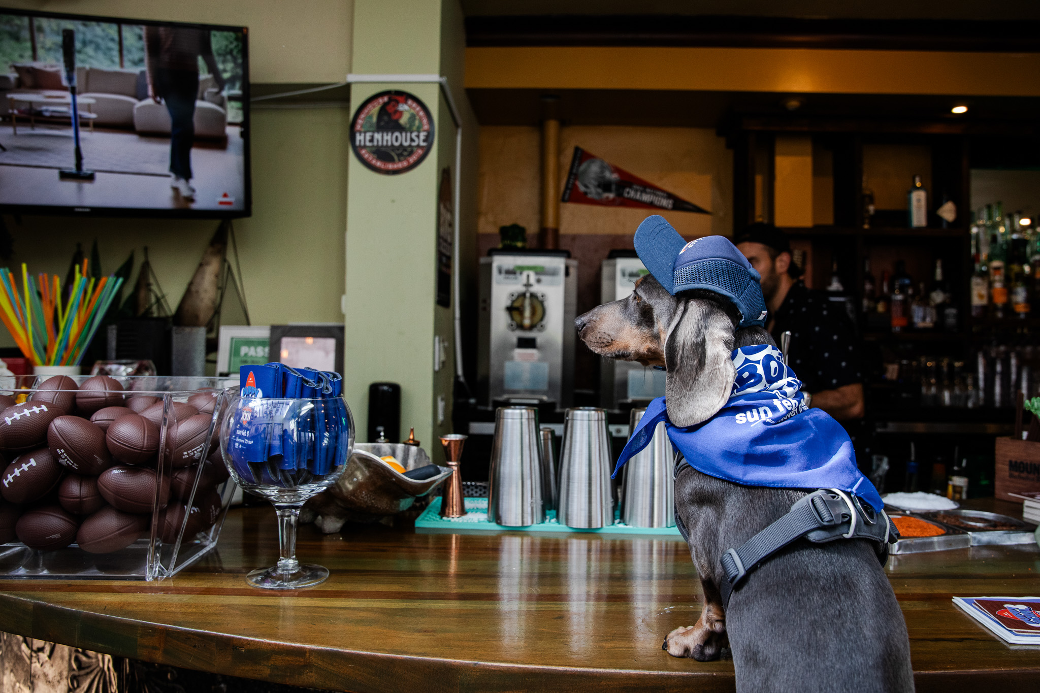 Puppybowlsf - 12