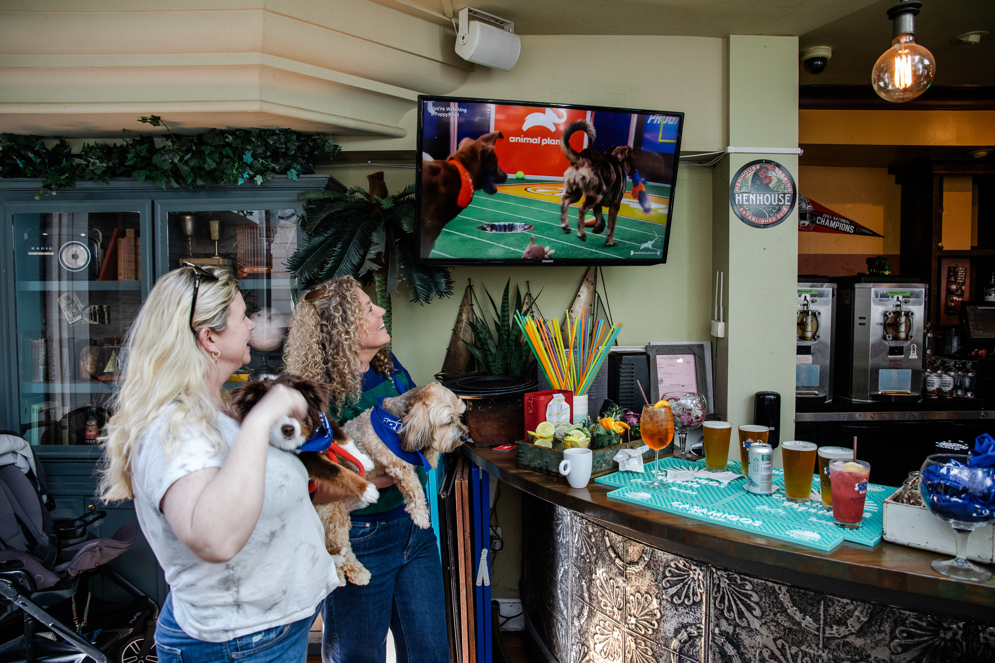 Puppybowlsf - 16