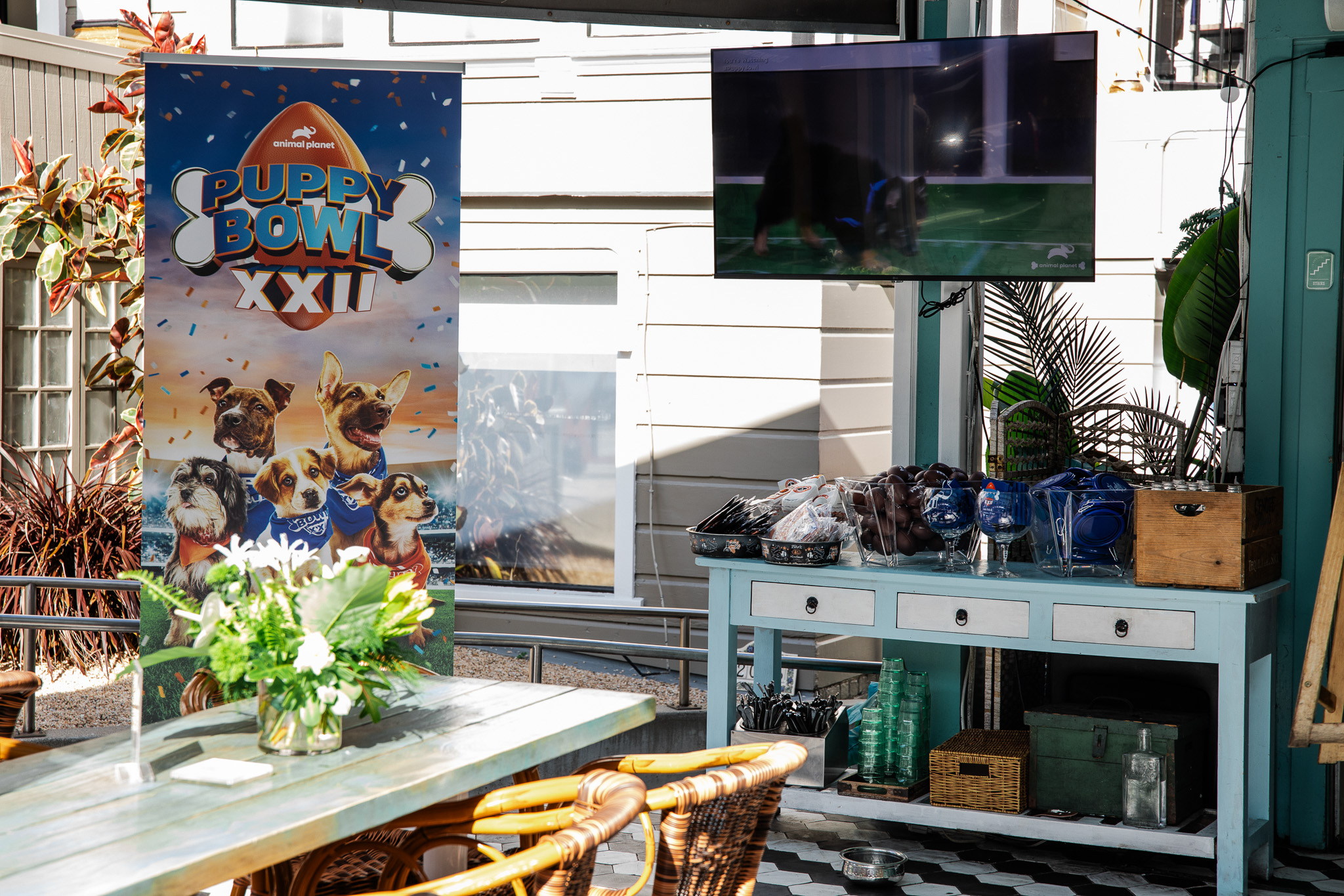 Puppybowlsf - 21