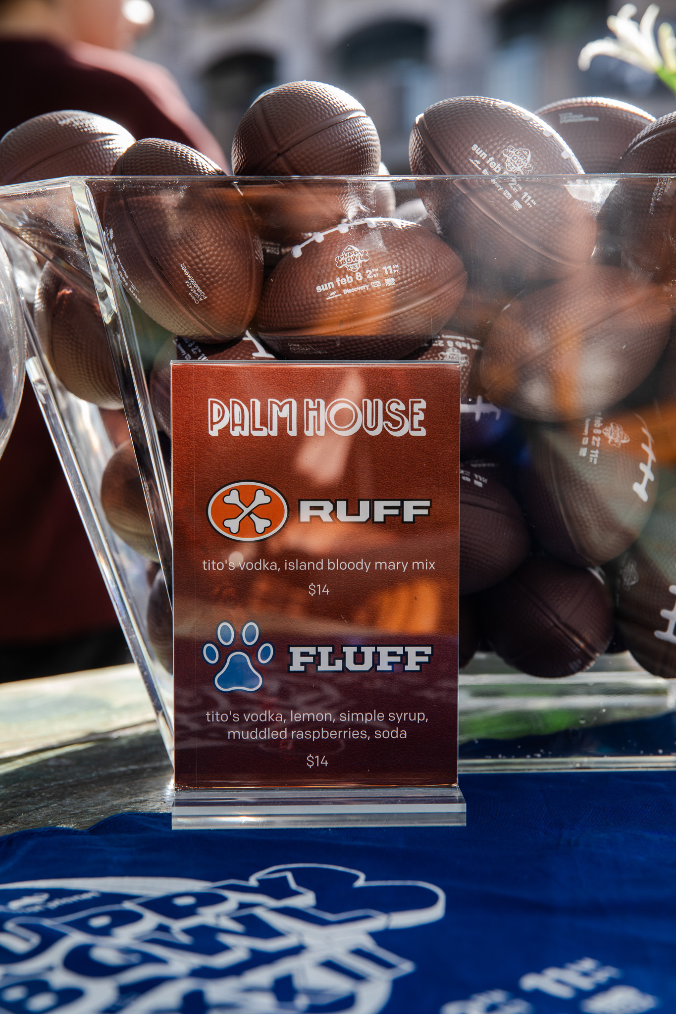 Puppybowlsf - 32
