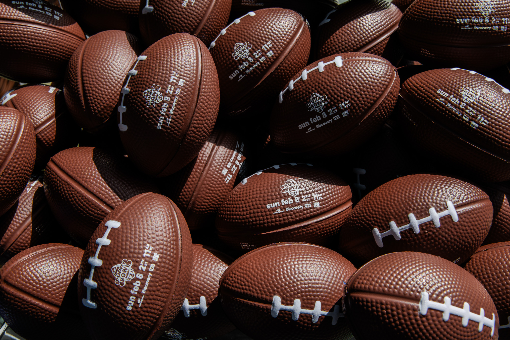 Puppybowlsf - 35