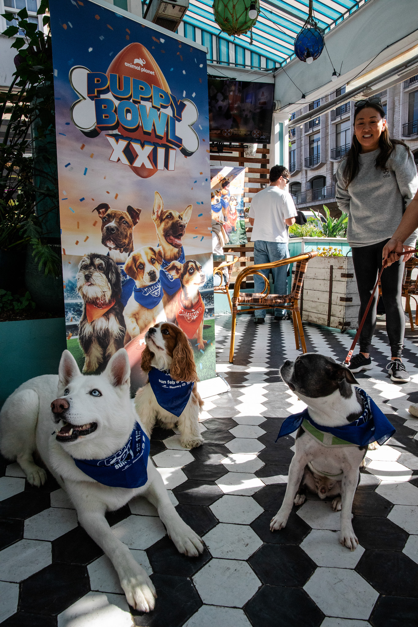 Puppybowlsf - 39
