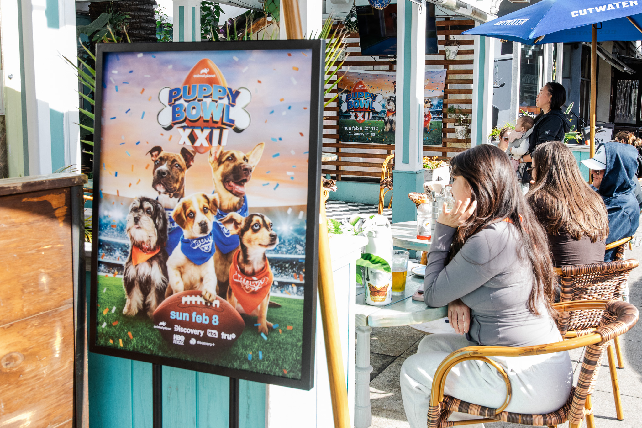 Puppybowlsf - 42
