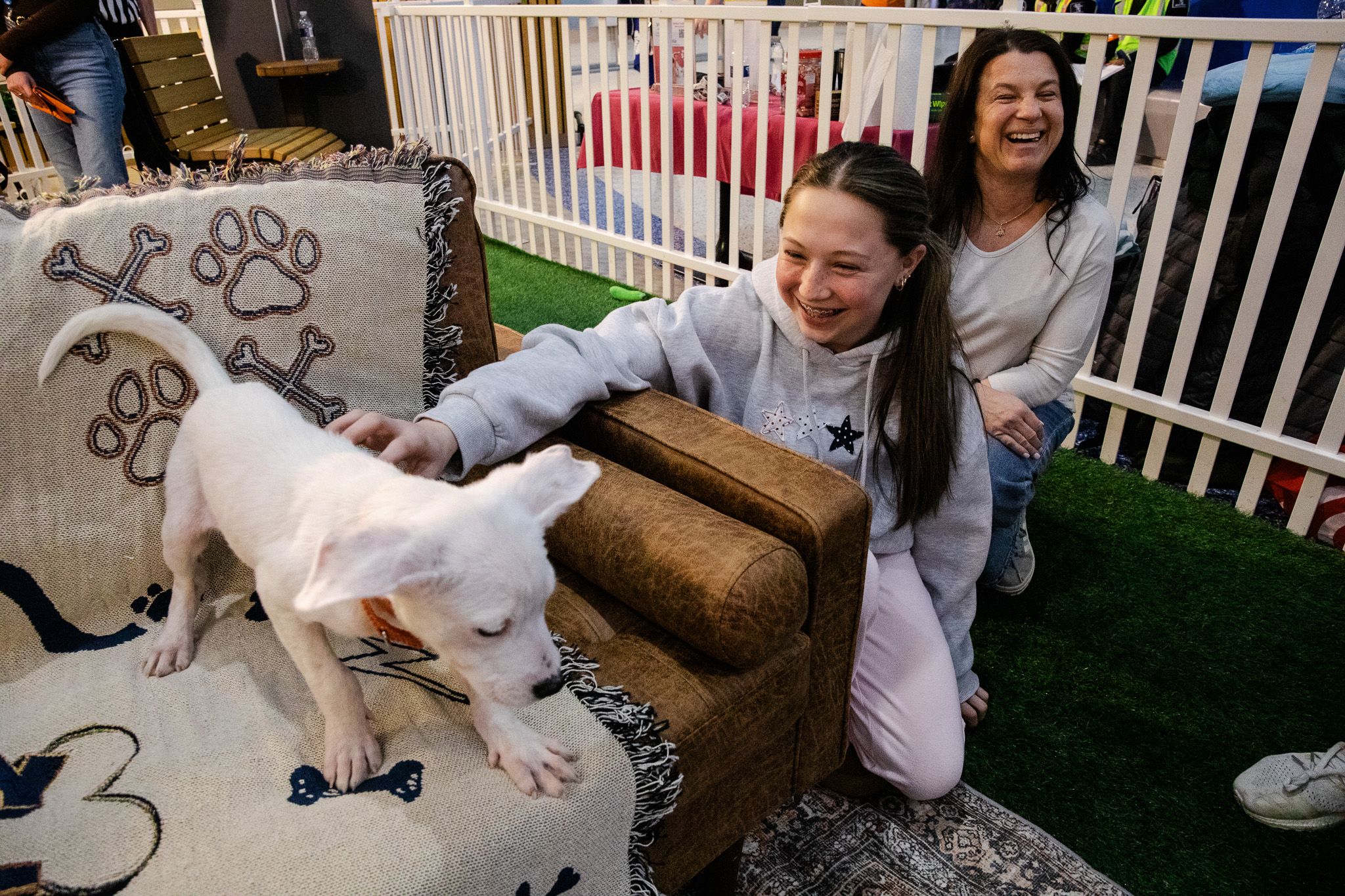 Puppybowl - 09 - 2