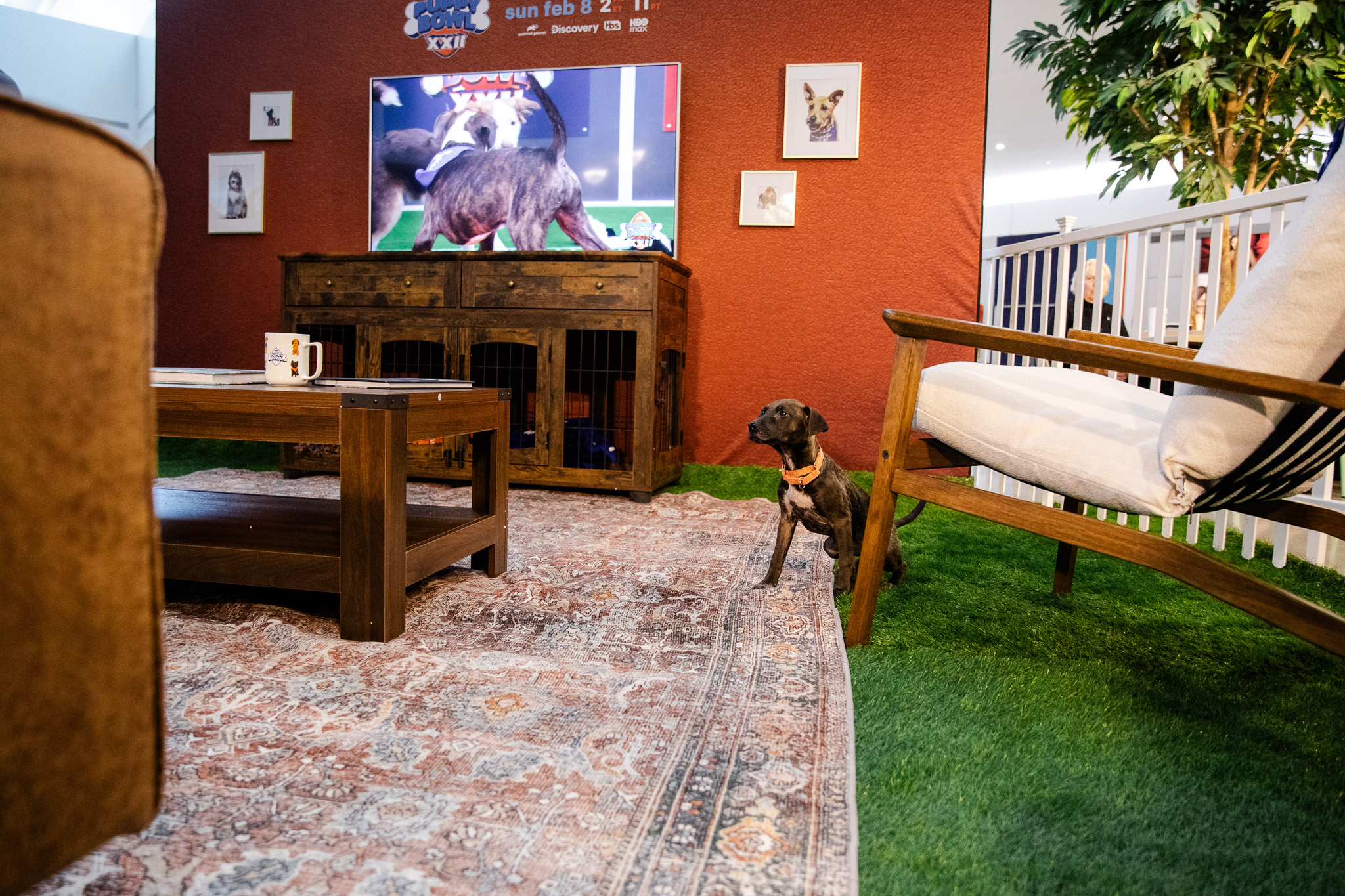 Puppybowl - 32 - 2
