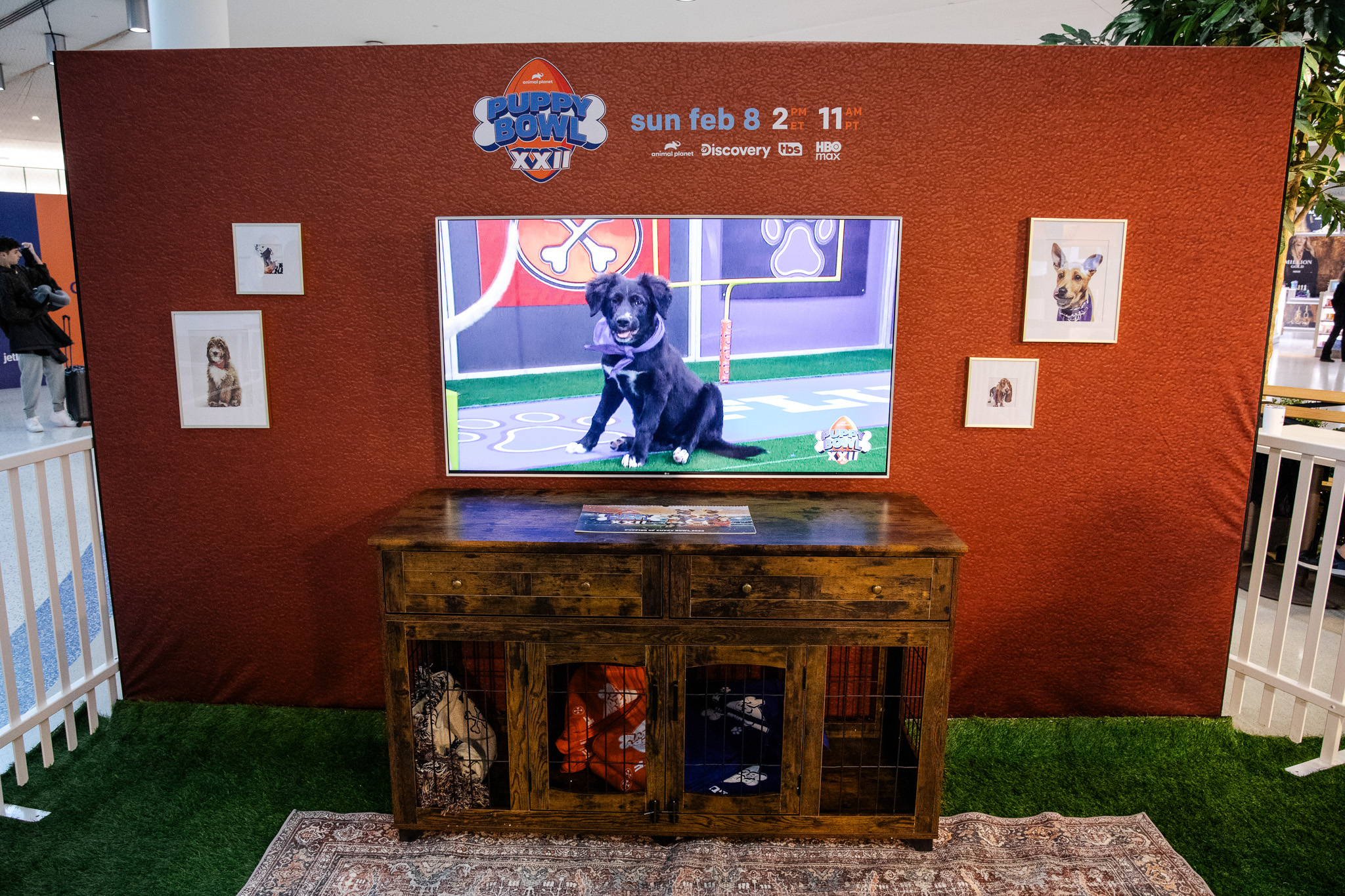 Puppybowl - 35 - 2