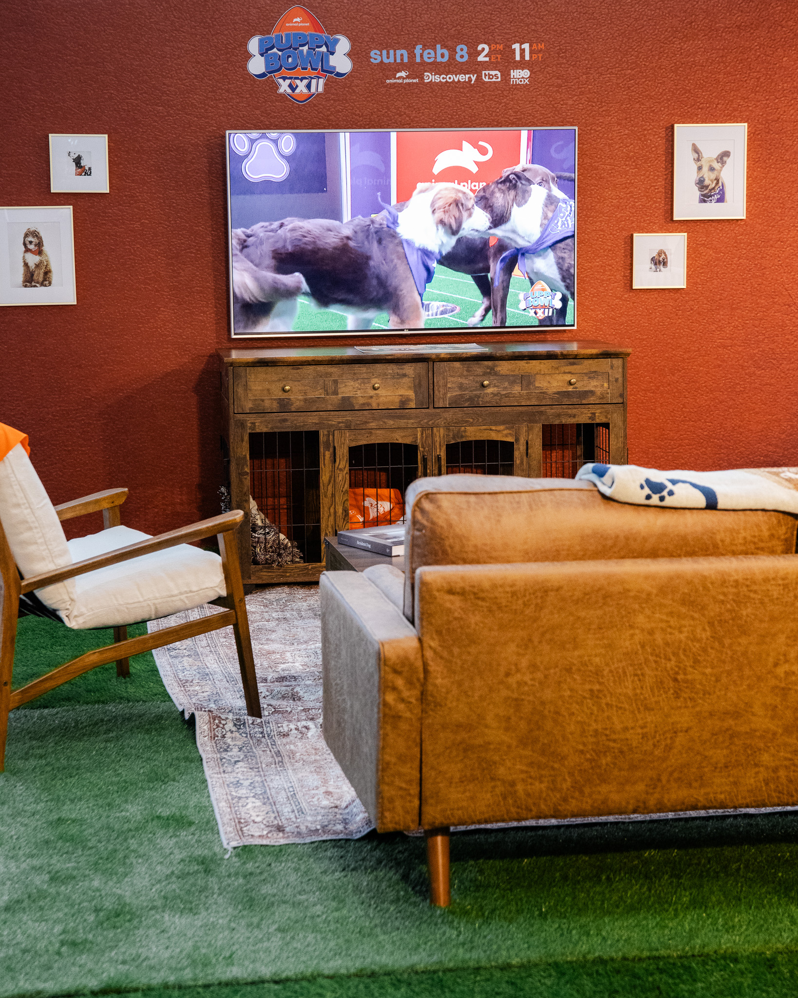 Puppybowl - 37 - 2