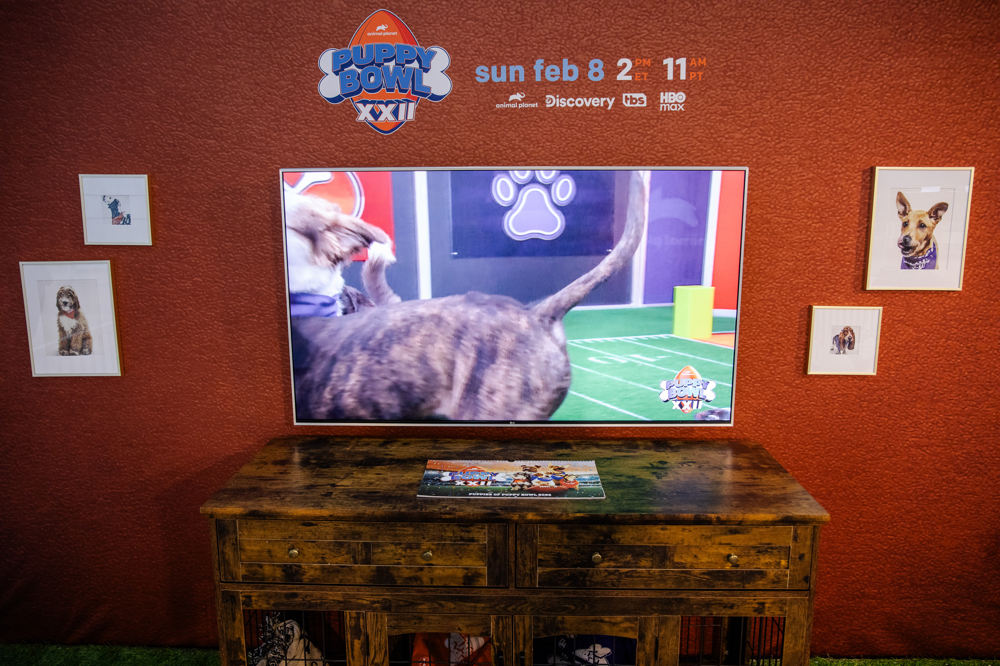 Puppybowl - 43 - 2
