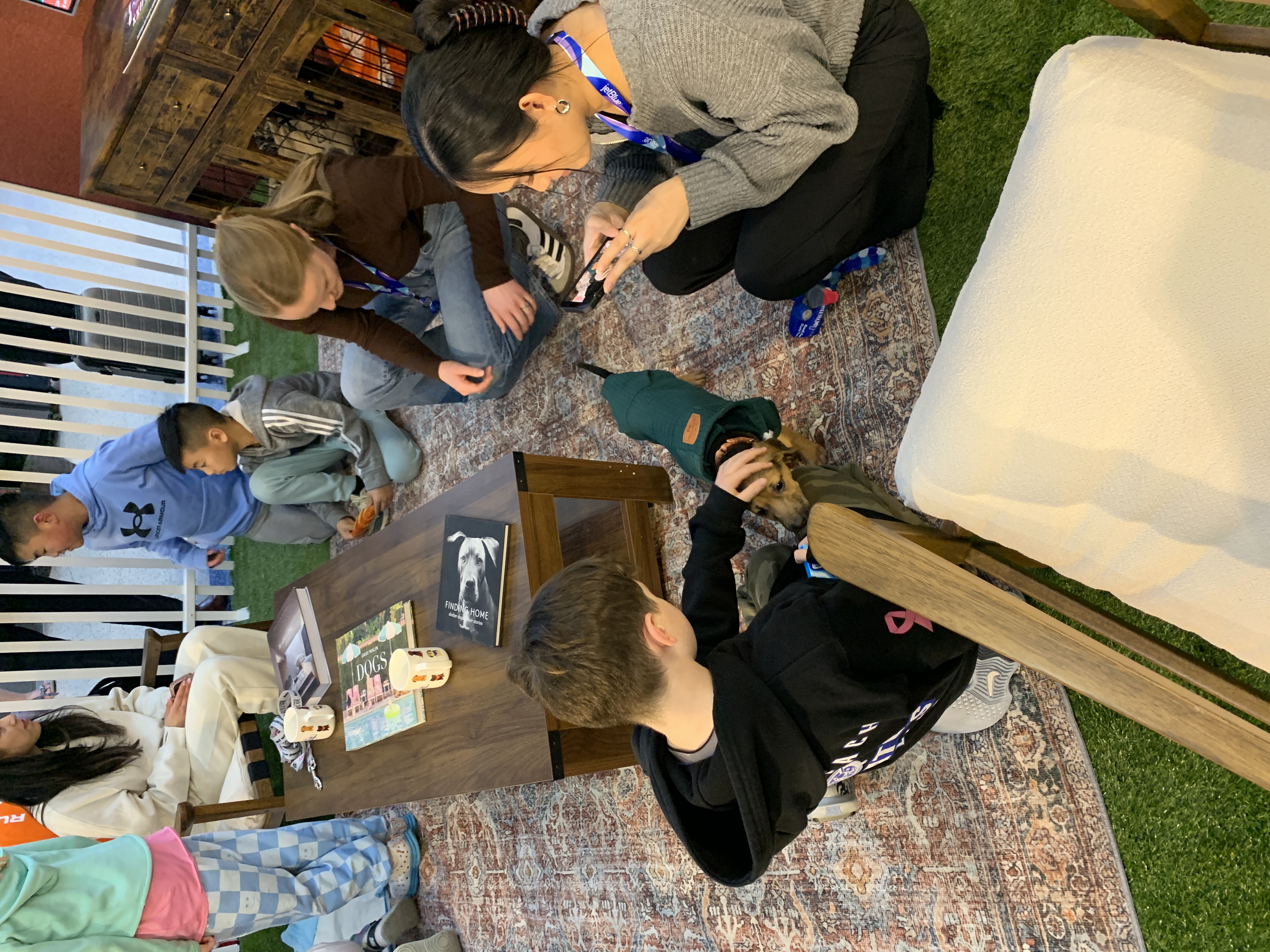 Img 8241(1)